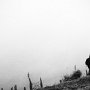 Alex vaga nella nebbia